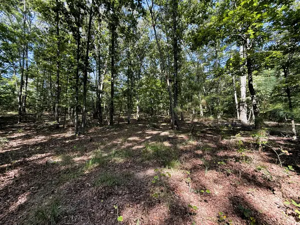 0 Webb Rd Ext, Summertown, TN 38483