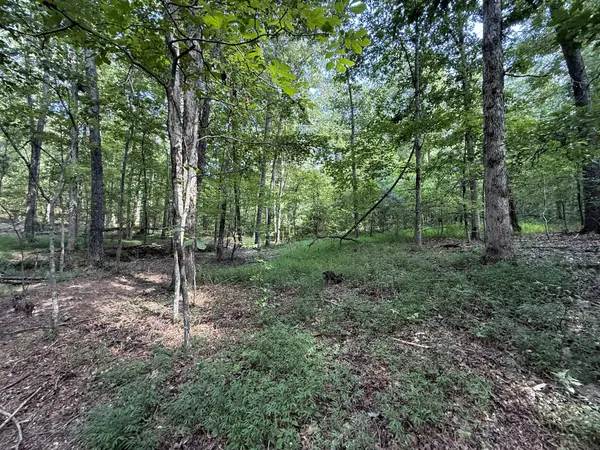 0 Webb Rd Ext, Summertown, TN 38483
