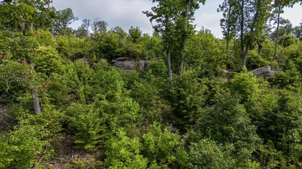 2148 Topside Drive, Spencer, TN 38585
