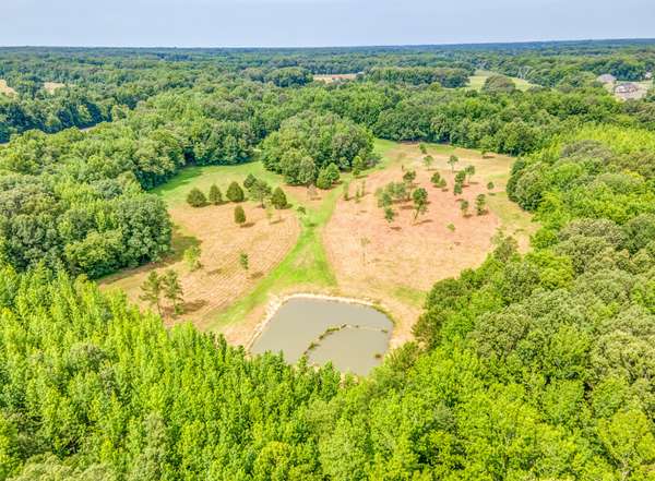 1225 Fields Dr, Arlington, TN 38002