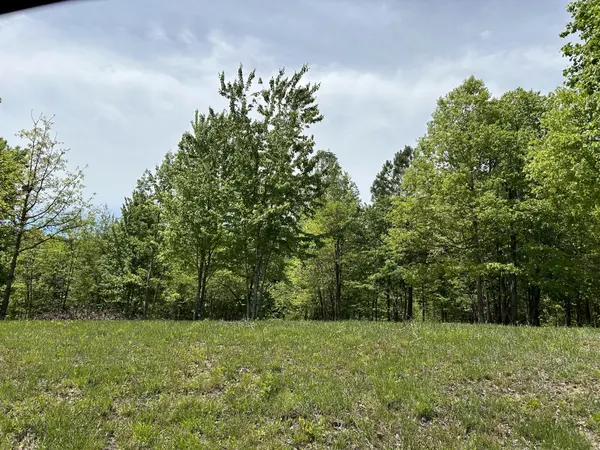 275 Lookout View Drive, Jasper, TN 37347