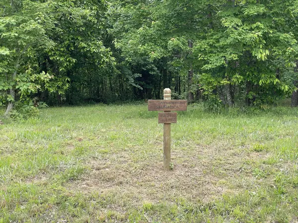 275 Lookout View Drive, Jasper, TN 37347