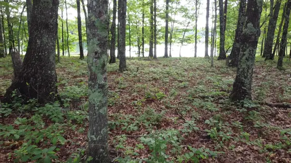 131 Camp Creek Circle, Spencer, TN 38585
