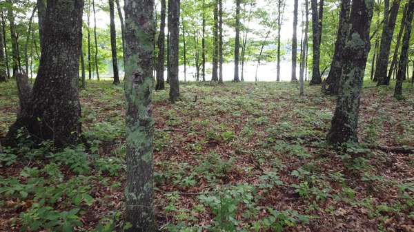 131 Camp Creek Circle, Spencer, TN 38585