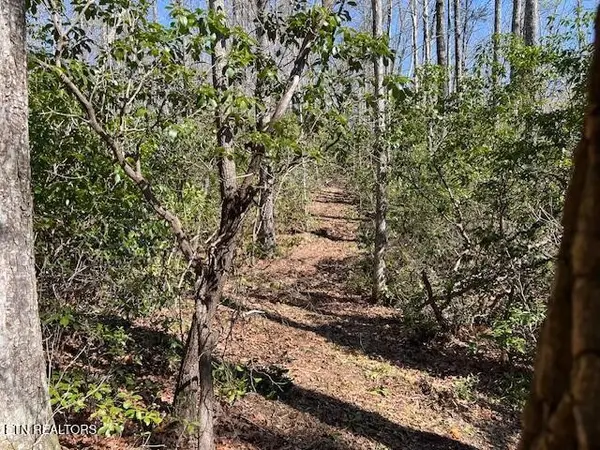 0 Cliff Park Rd, Monterey, TN 38574