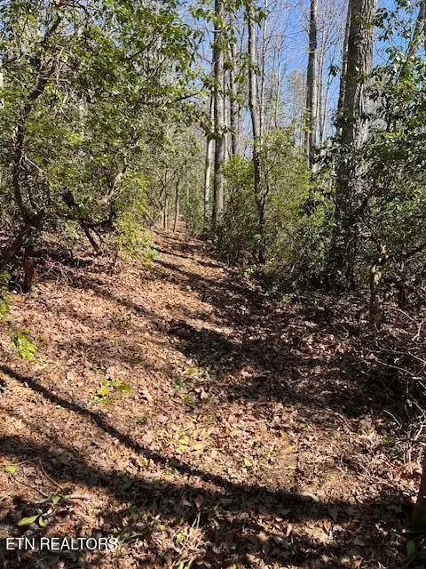 0 Cliff Park Rd, Monterey, TN 38574