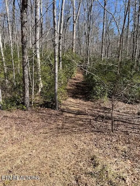 0 Cliff Park Rd, Monterey, TN 38574