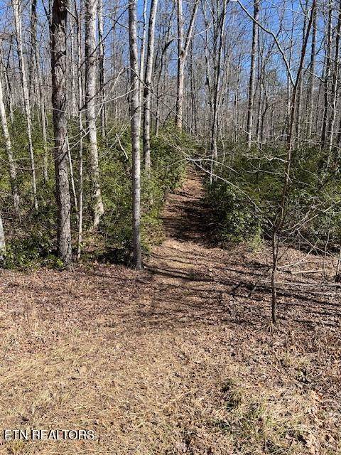 0 Cliff Park Rd, Monterey, TN 38574