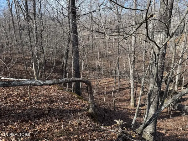 37 Crystal Point, Monterey, TN 38574