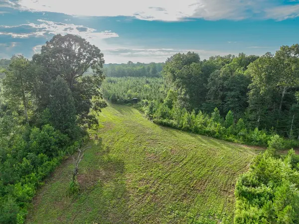 0 West Hollow Rd, Goodspring, TN 38460