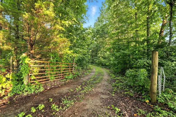 0 West Hollow Rd, Goodspring, TN 38460