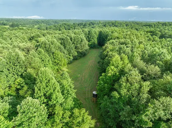 0 West Hollow Rd, Goodspring, TN 38460