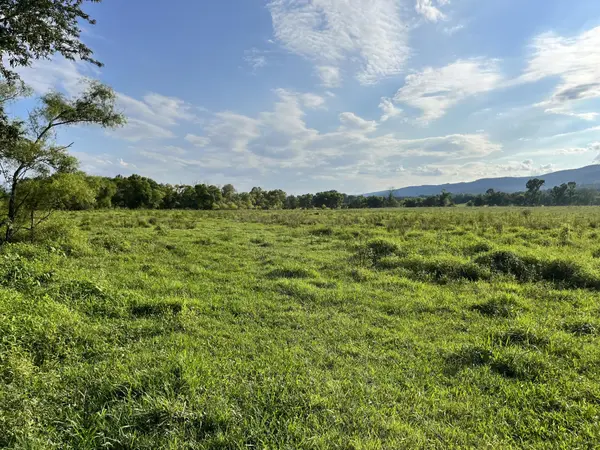0 Old State Highway 28, Pikeville, TN 37367