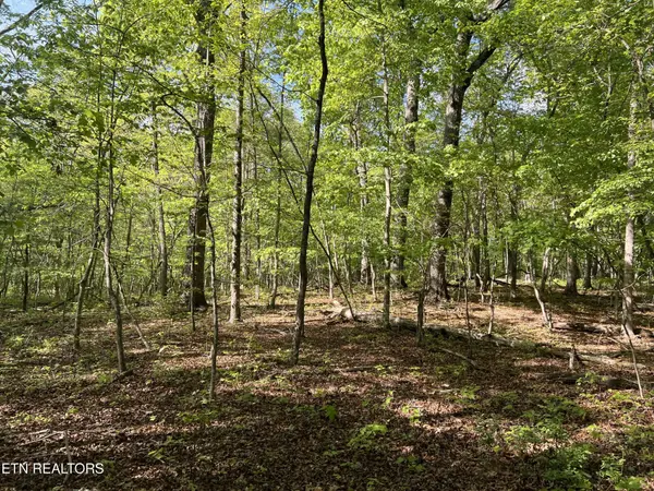658 Peavine Firetower Rd, Crossville, TN 38571