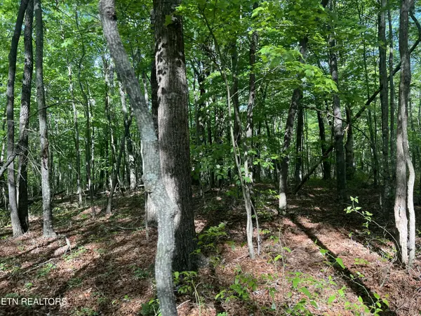 658 Peavine Firetower Rd, Crossville, TN 38571