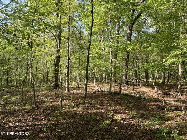 328 Peavine Firetower Rd, Crossville, TN 38571