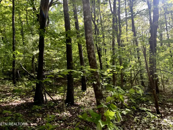 328 Peavine Firetower Rd, Crossville, TN 38571