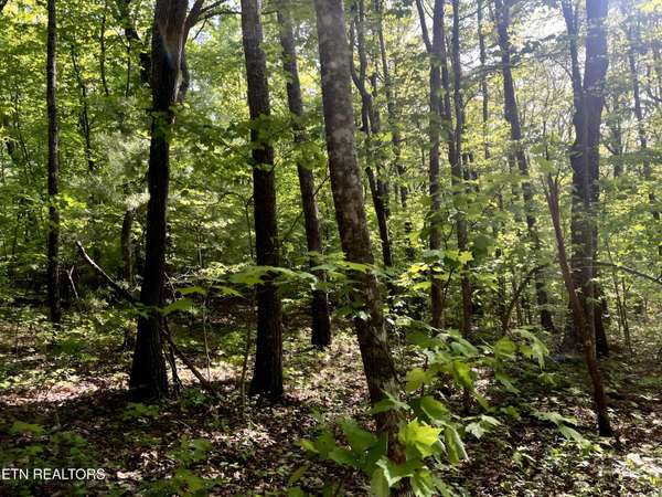 328 Peavine Firetower Rd, Crossville, TN 38571