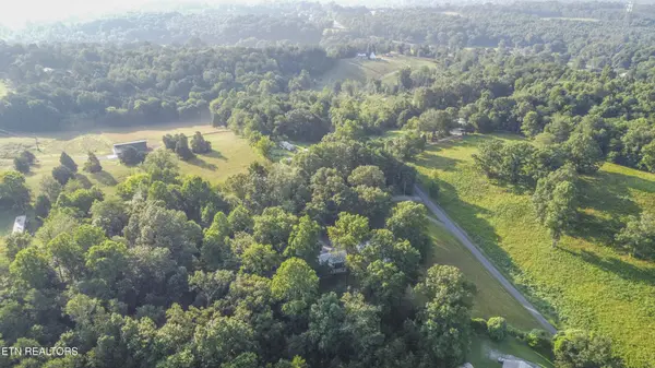 197 Wedgewood Lane, Spring City, TN 37381