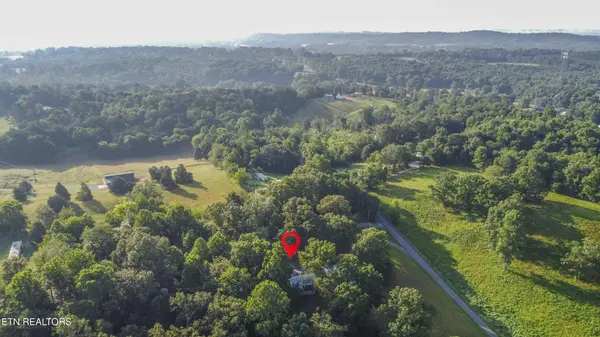 197 Wedgewood Lane, Spring City, TN 37381