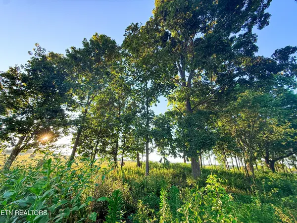 0 Lot 19 Summerset Drive, Talbott, TN 37877
