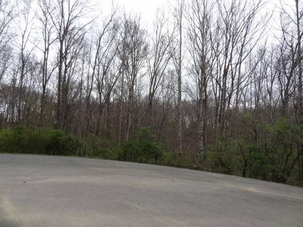 0 Eugene Court, Crossville, TN 38555