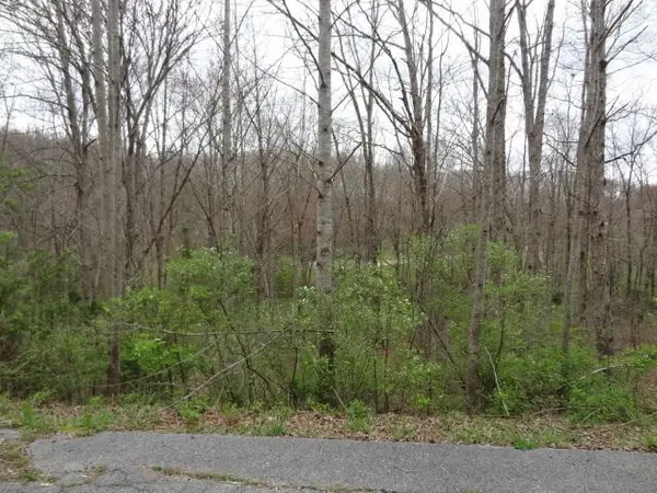 0 Eugene Court, Crossville, TN 38555