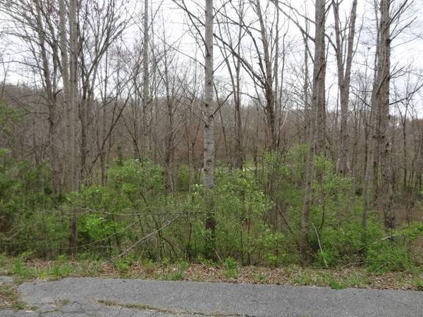 0 Eugene Court, Crossville, TN 38555