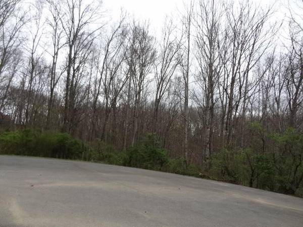 0 Eugene Court, Crossville, TN 38555