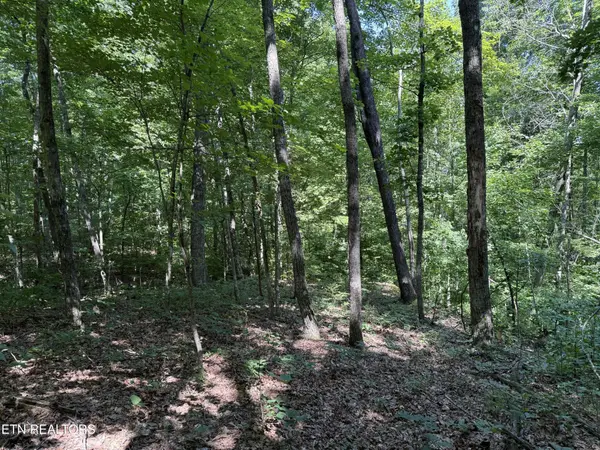 2 E Cove Rd, Monterey, TN 38574