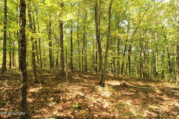 323 Rotherham Drive, Crossville, TN 38558