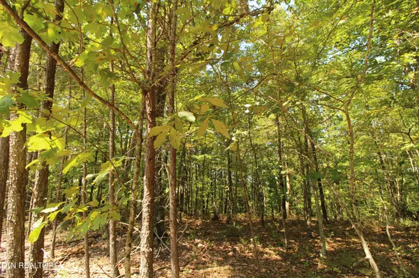 323 Rotherham Drive, Crossville, TN 38558