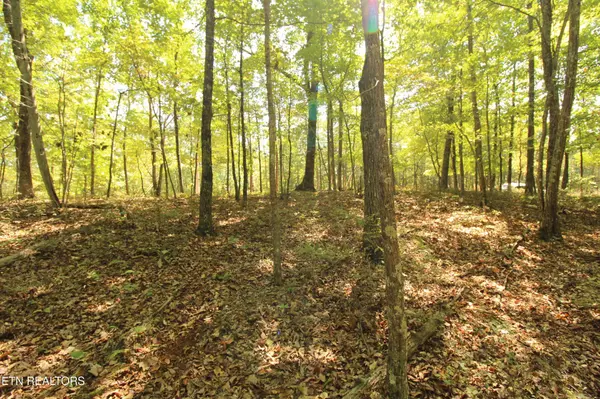 323 Rotherham Drive, Crossville, TN 38558