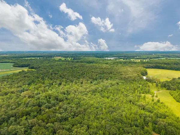 0 Old Railroad Bed Rd, Taft, TN 38488
