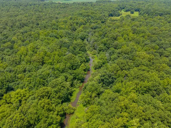 0 Old Railroad Bed Rd, Taft, TN 38488