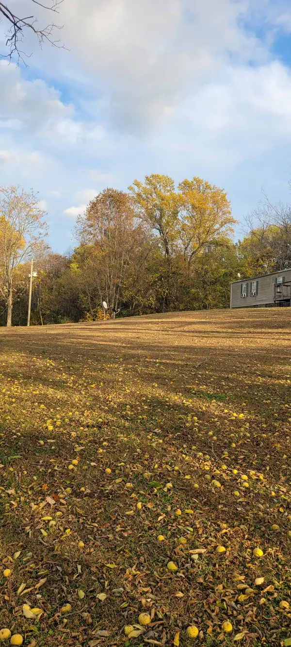 4698 Bennett Hollow Rd, Thompsons Station, TN 37179