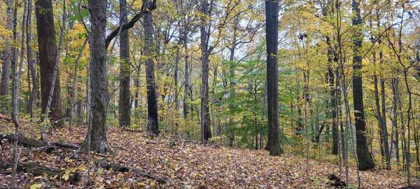 1 Sugar Ridge Rd, Spring Hill, TN 37174