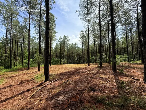 0 Spokelay Rd, Spencer, TN 38585