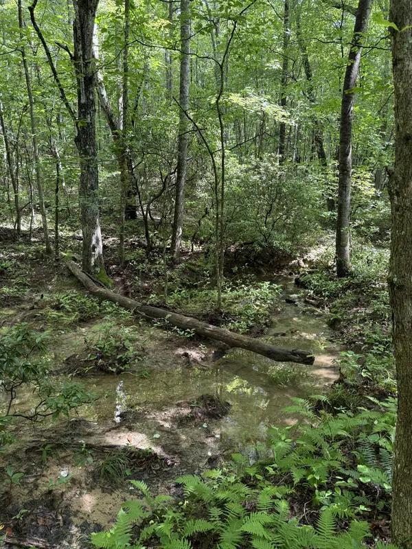 0 Spokelay Rd, Spencer, TN 38585