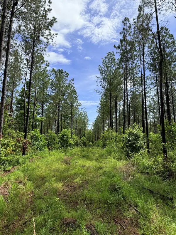 0 Spokelay Rd, Spencer, TN 38585