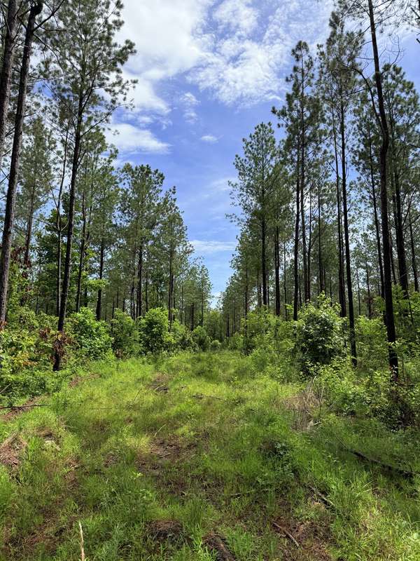 0 Spokelay Rd, Spencer, TN 38585