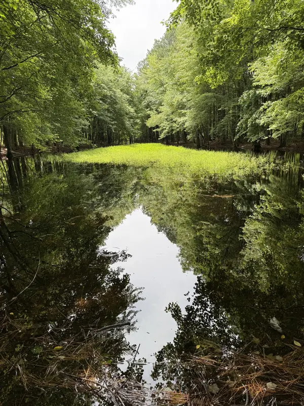 0 Spokelay Rd, Spencer, TN 38585