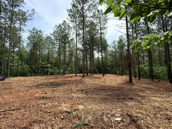 0 Spokelay Rd, Spencer, TN 38585