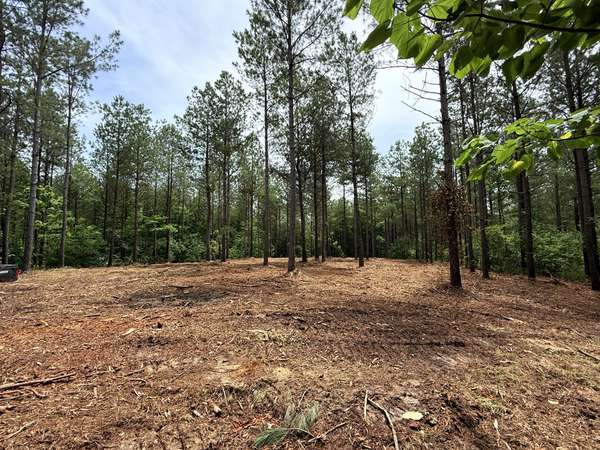 0 Spokelay Rd, Spencer, TN 38585