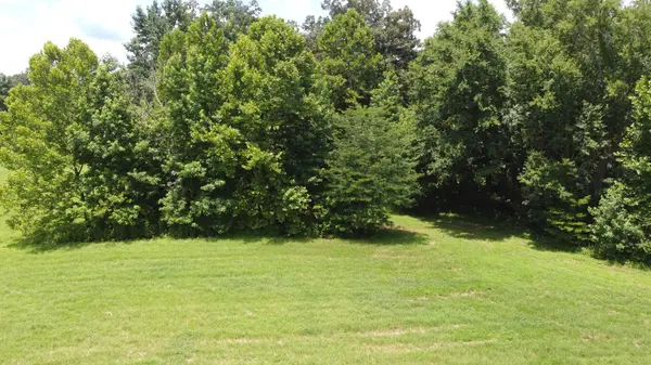 14 Hayes Ridge Rd, Indian Mound, TN 37079
