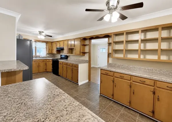 1520 Old Springville Rd, Springville, TN 38256