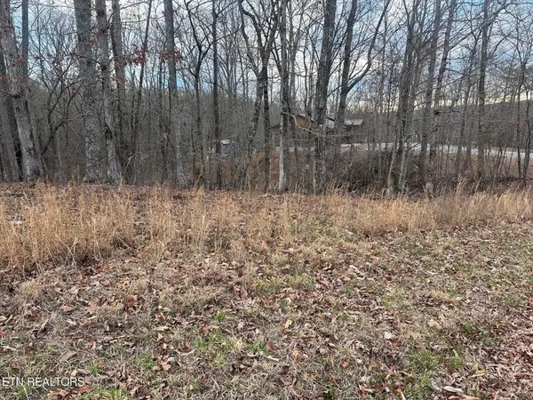 2 Indian Shadows Drive, Ten Mile, TN 37880