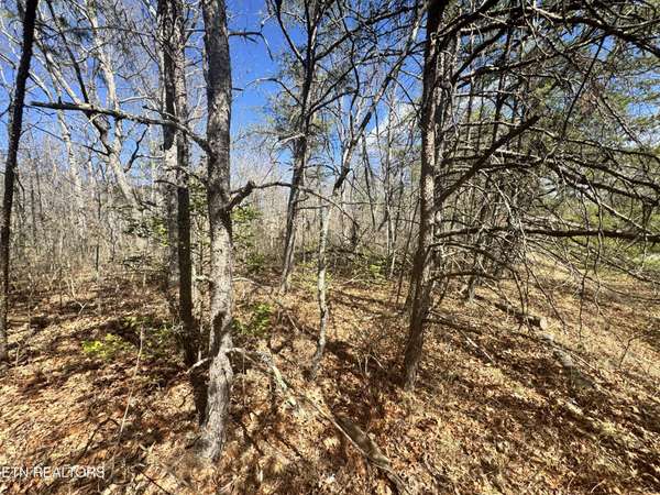 0 Divide Tr, Monterey, TN 38574