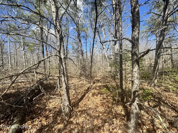 0 Divide Tr, Monterey, TN 38574
