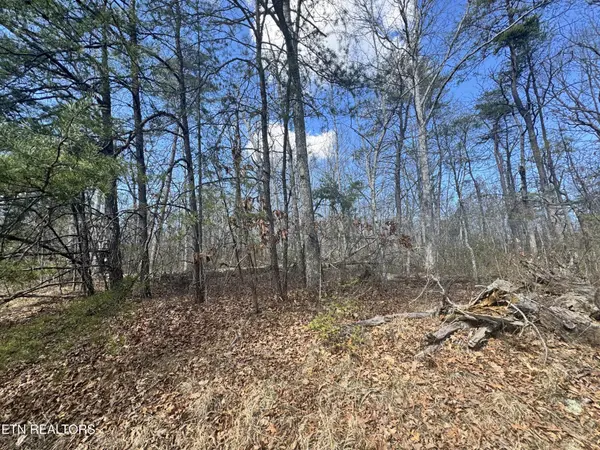 0 Divide Tr, Monterey, TN 38574